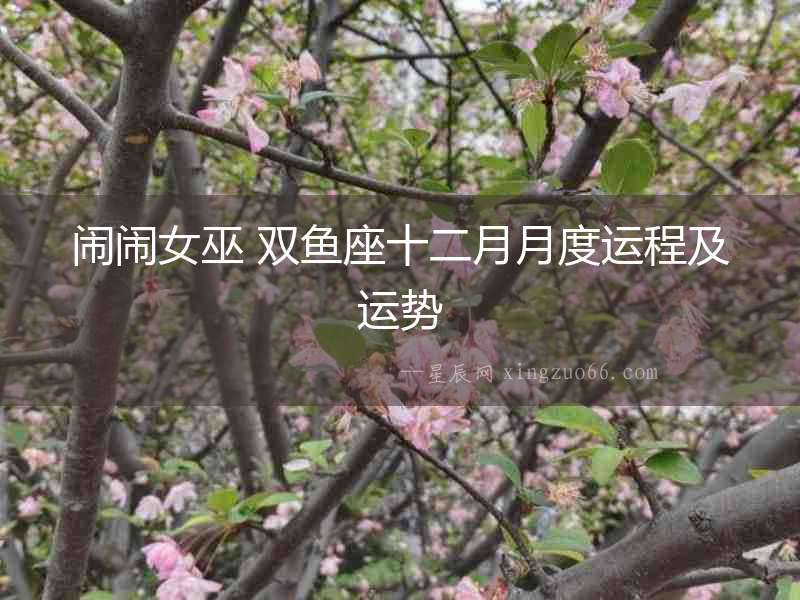 鬧鬧女巫 雙魚座十二月月度運(yùn)程及運(yùn)勢