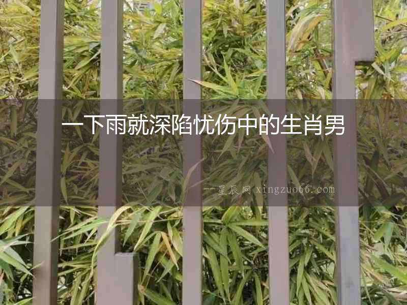 一下雨就深陷憂傷中的生肖男