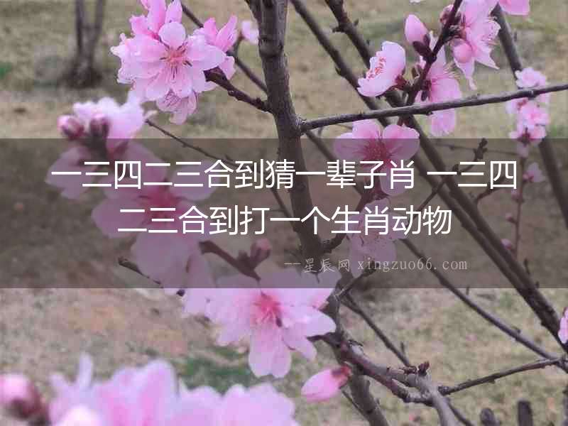 一三四二三合到猜一輩子肖 一三四二三合到打一個生肖動物