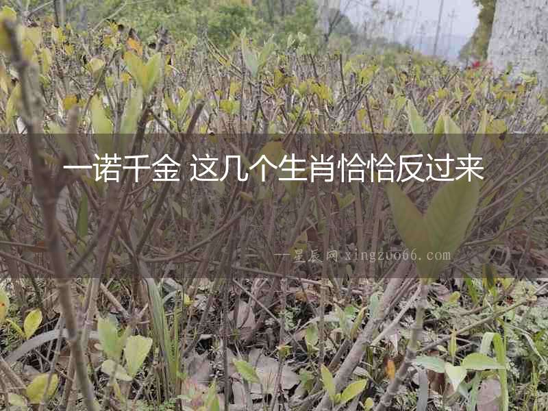 一諾千金 這幾個生肖恰恰反過來