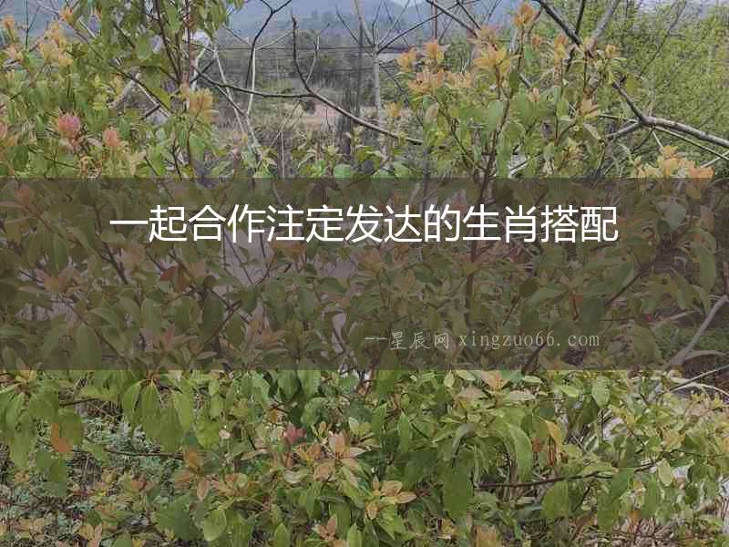 一起合作注定發(fā)達的生肖搭配