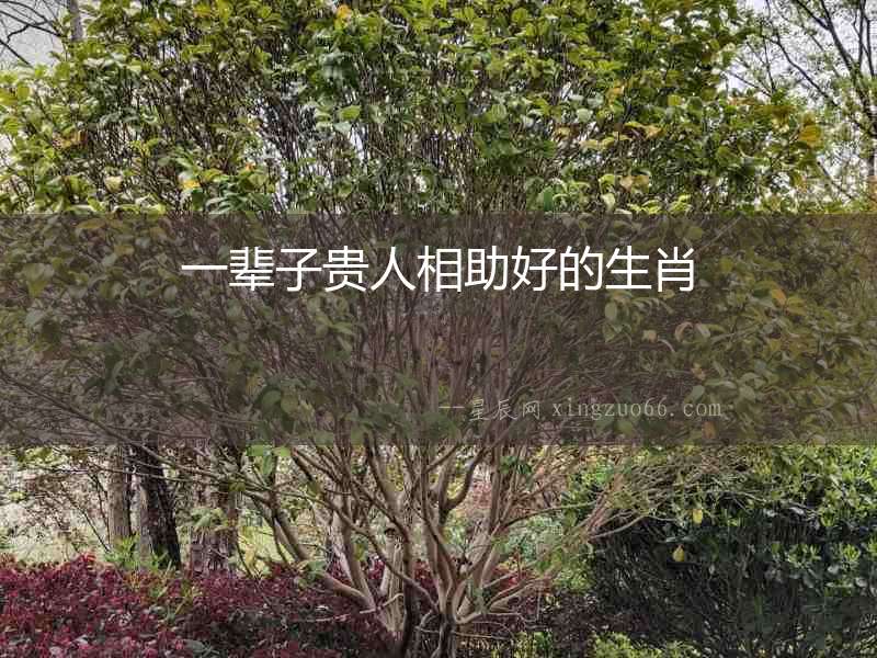 一輩子貴人相助好的生肖