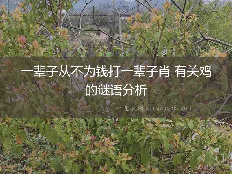 一輩子從不為錢(qián)打一輩子肖 有關(guān)雞的謎語(yǔ)分析