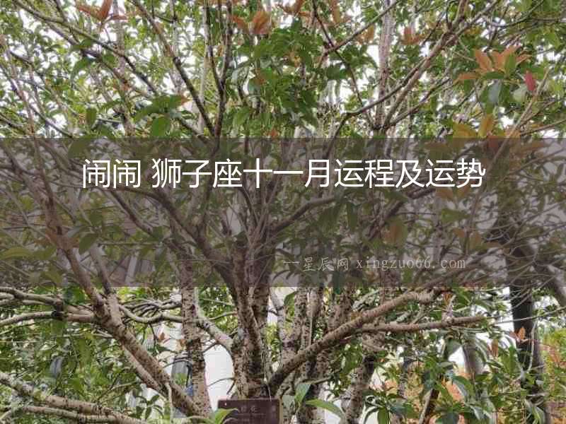 鬧鬧 獅子座十一月運程及運勢