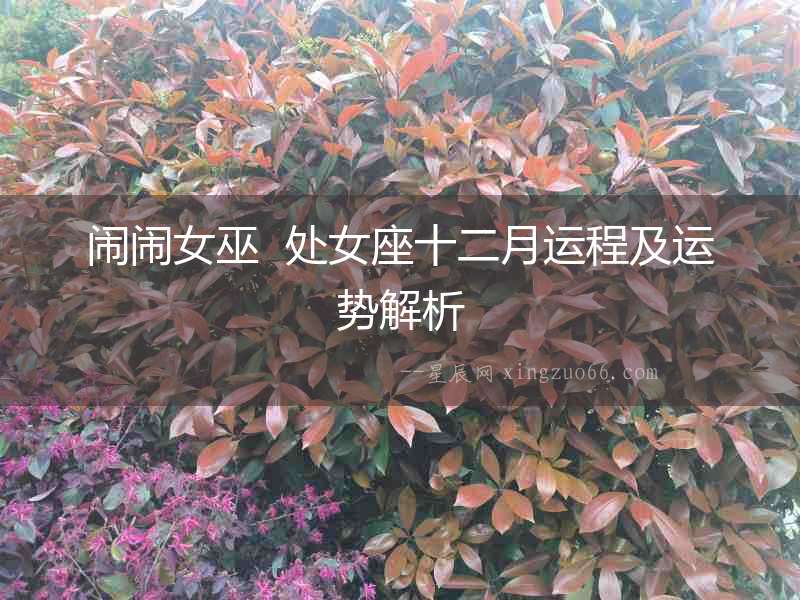 鬧鬧女巫  處女座十二月運程及運勢解析