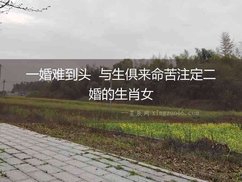 一婚難到頭  與生俱來命苦注定二婚的生肖女
