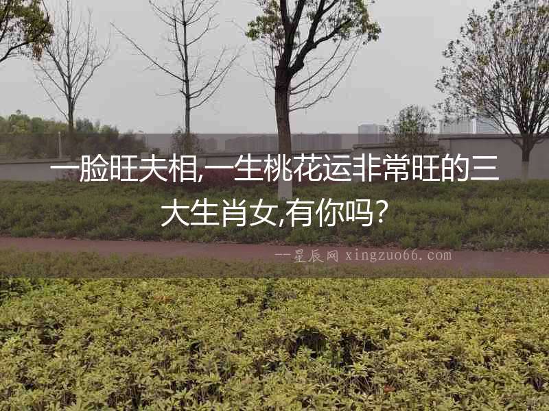 一臉旺夫相,一生桃花運(yùn)非常旺的三大生肖女,有你嗎？