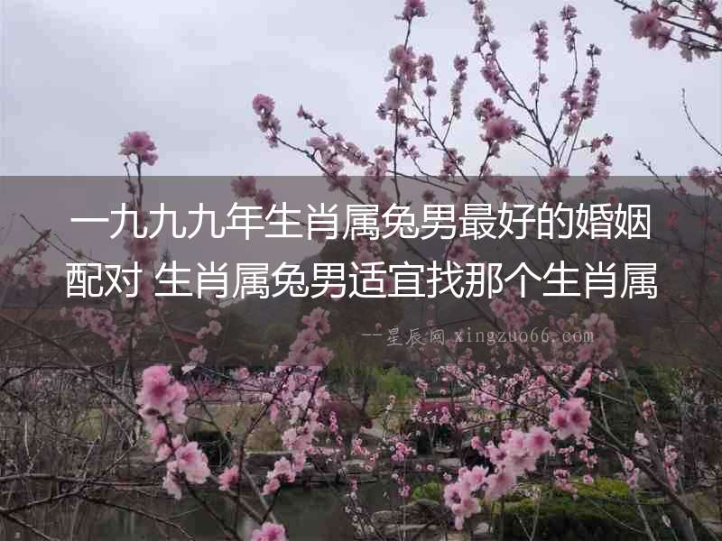 一九九九年生肖屬兔男最好的婚姻配對 生肖屬兔男適宜找那個生肖屬相女