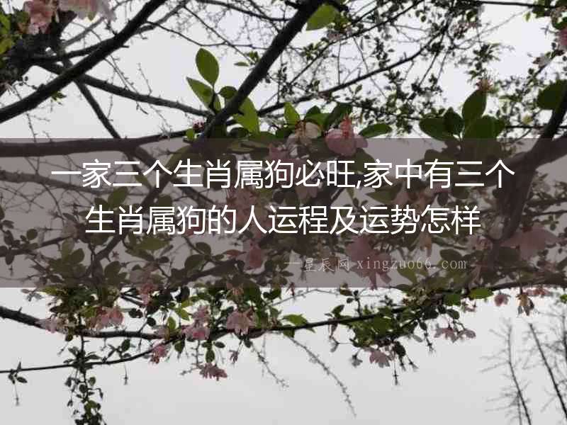 一家三個(gè)生肖屬狗必旺,家中有三個(gè)生肖屬狗的人運(yùn)程及運(yùn)勢(shì)怎樣