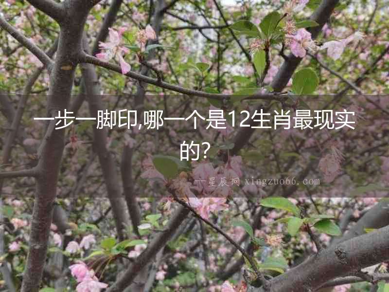 一步一腳印,哪一個是12生肖最現(xiàn)實(shí)的？
