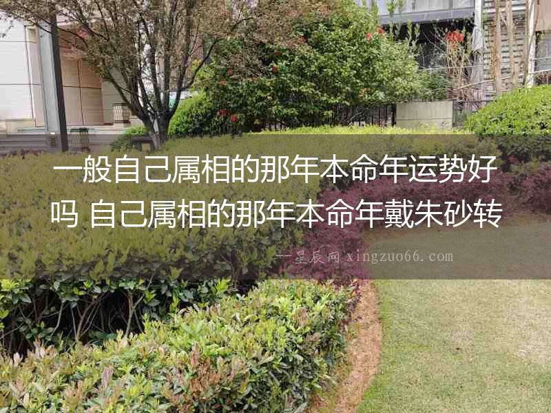 一般自己屬相的那年本命年運勢好嗎 自己屬相的那年本命年戴朱砂轉運珠手鏈大吉