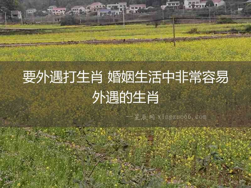 要外遇打生肖 婚姻生活中非常容易外遇的生肖