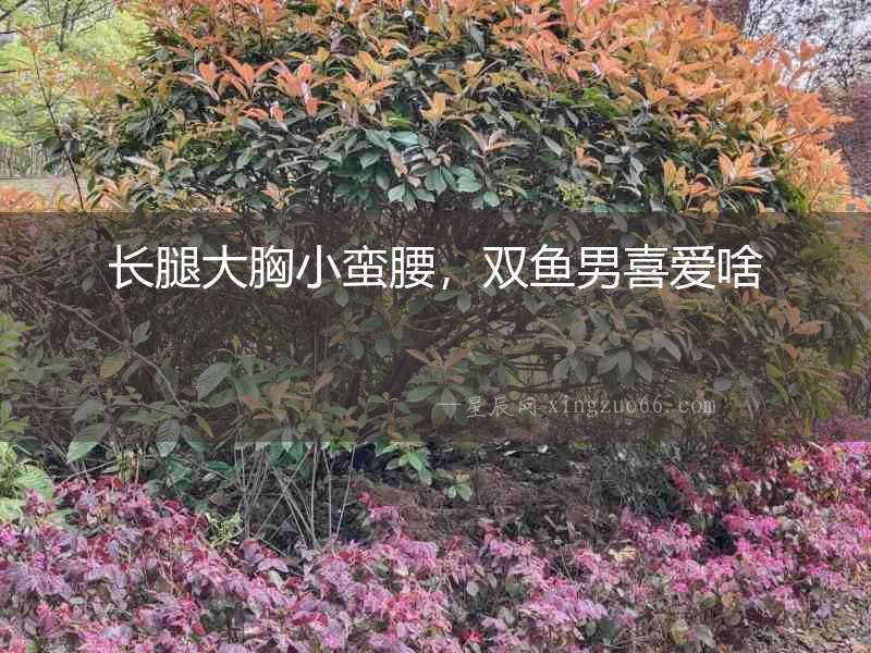 長腿大胸小蠻腰，雙魚男喜愛啥