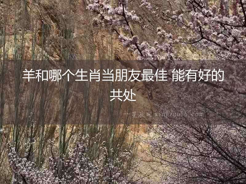 羊和哪個(gè)生肖當(dāng)朋友最佳 能有好的共處