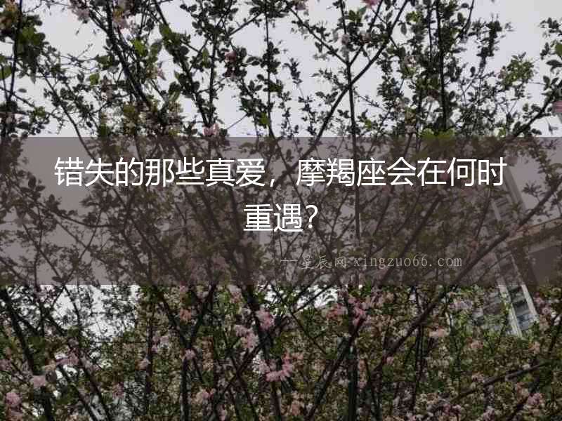 錯失的那些真愛，摩羯座會在何時重遇？