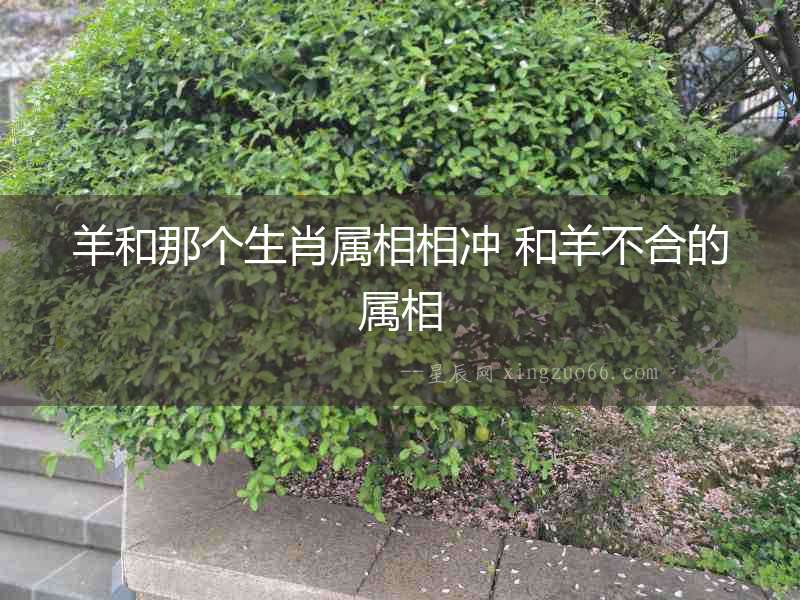 羊和那個生肖屬相相沖 和羊不合的屬相