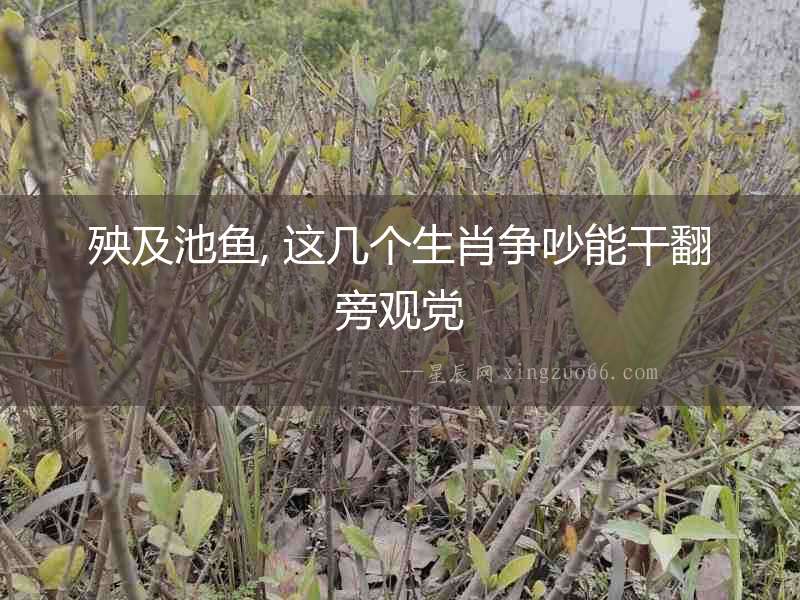 殃及池魚, 這幾個生肖爭吵能干翻旁觀黨