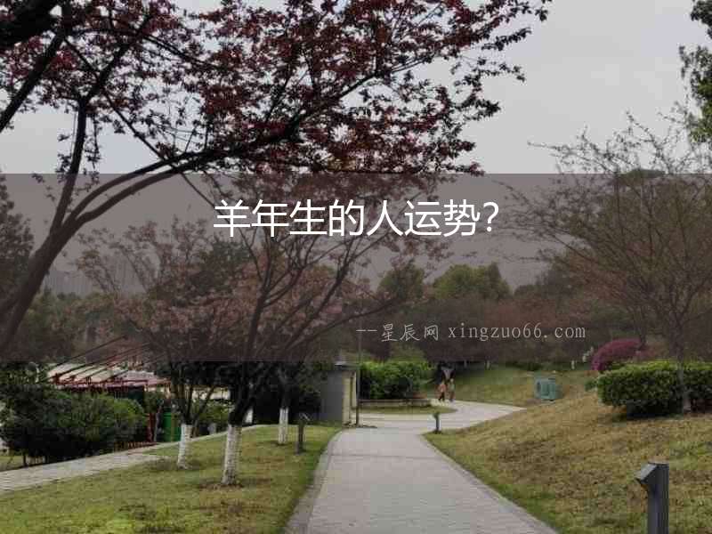 羊年生的人運勢？