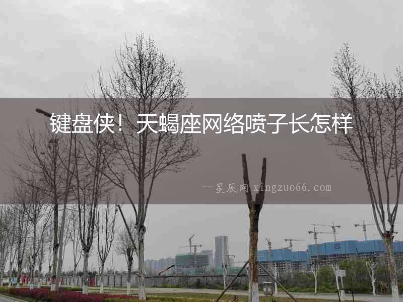 鍵盤俠！天蝎座網絡噴子長怎樣