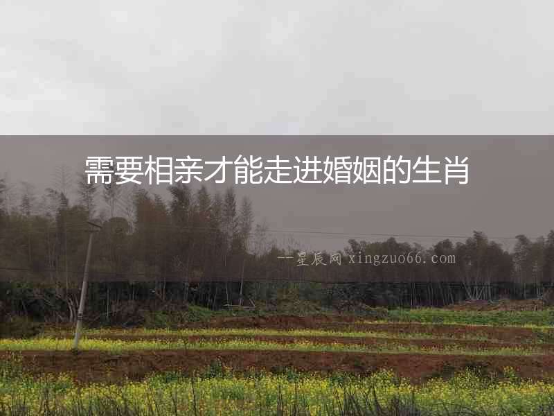 需要相親才能走進婚姻的生肖
