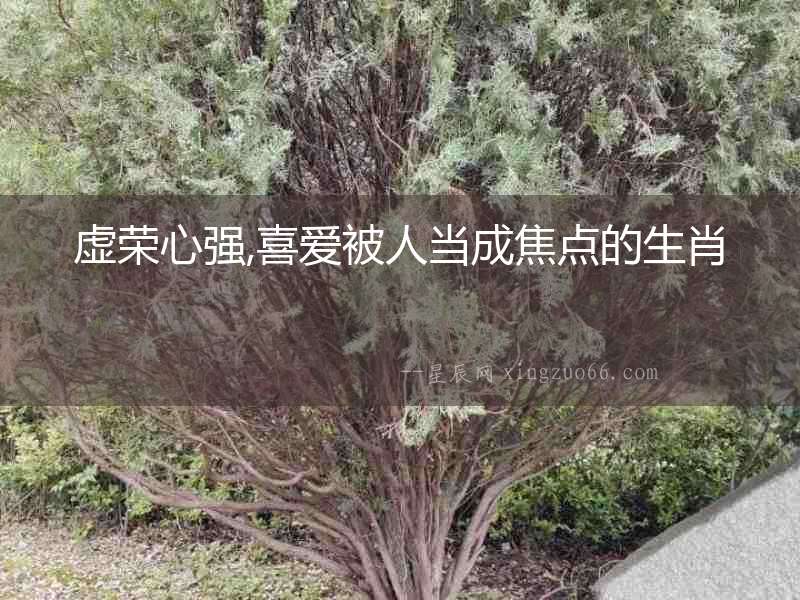 虛榮心強,喜愛被人當成焦點的生肖