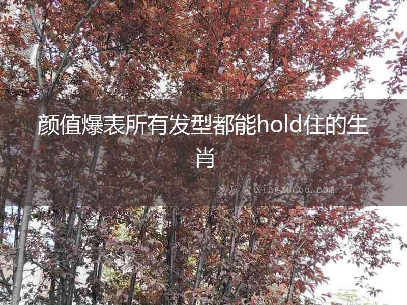 顏值爆表所有發型都能hold住的生肖