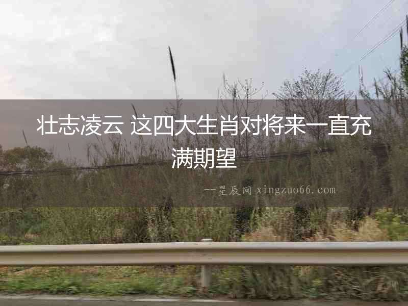 壯志凌云 這四大生肖對將來一直充滿期望