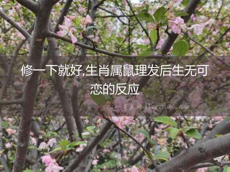 修一下就好,生肖屬鼠理發后生無可戀的反應