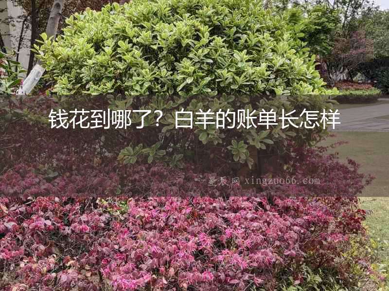 錢(qián)花到哪了？白羊的賬單長(zhǎng)怎樣