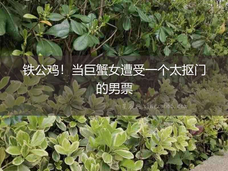 鐵公雞！當巨蟹女遭受一個太摳門的男票