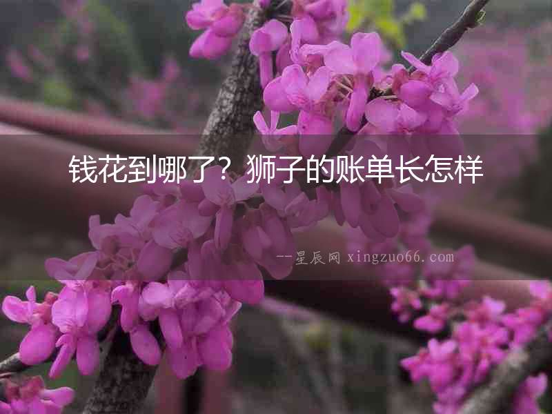 錢(qián)花到哪了？獅子的賬單長(zhǎng)怎樣