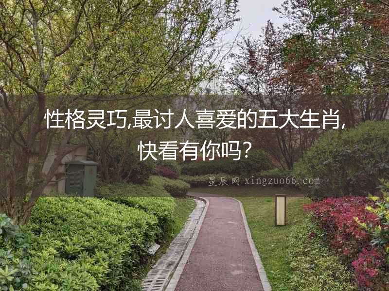 性格靈巧,最討人喜愛的五大生肖,快看有你嗎？