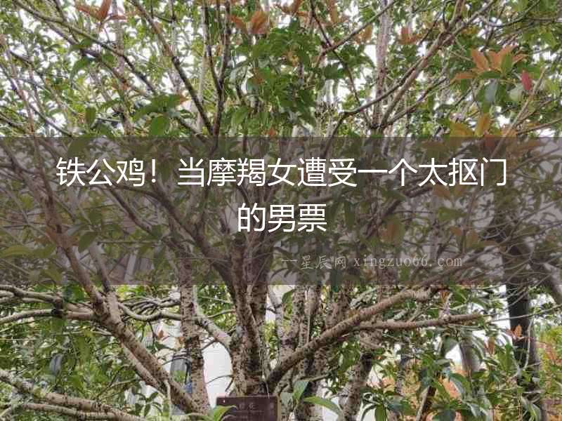 鐵公雞！當摩羯女遭受一個太摳門的男票