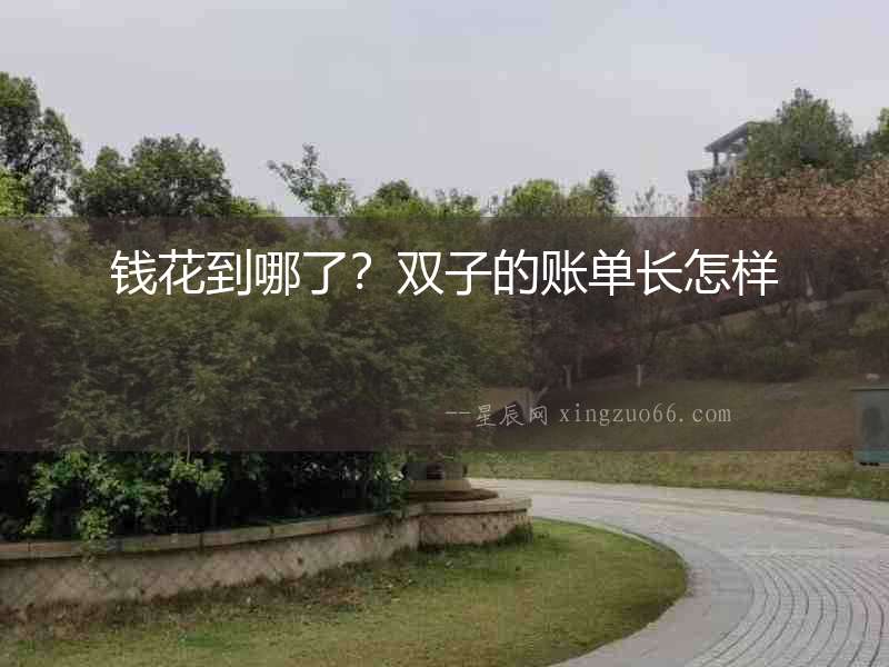 錢花到哪了？雙子的賬單長怎樣