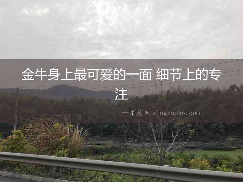 金牛身上最可愛的一面 細節上的專注