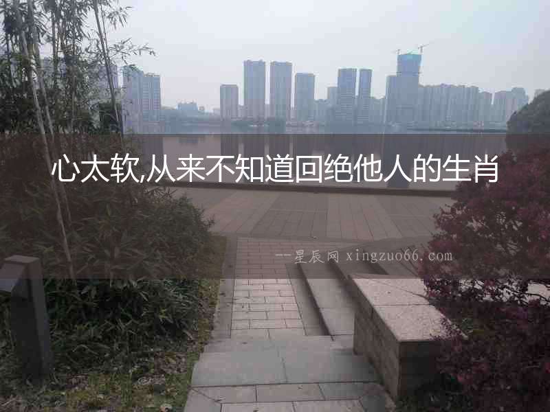 心太軟,從來(lái)不知道回絕他人的生肖