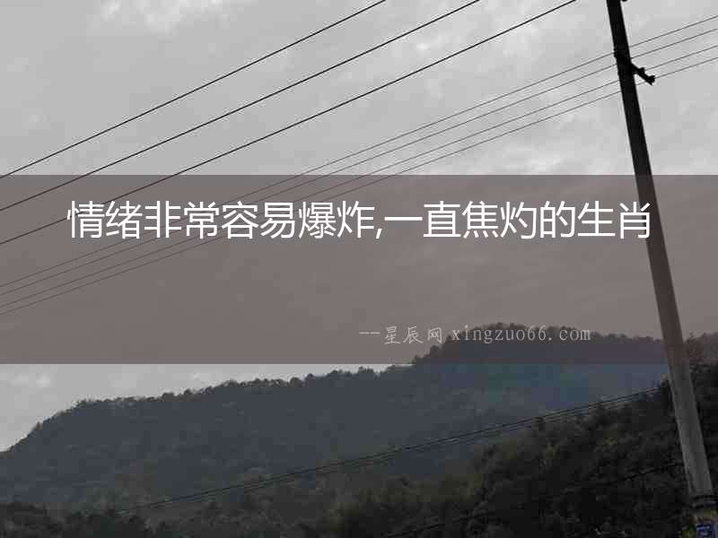 情緒非常容易爆炸,一直焦灼的生肖