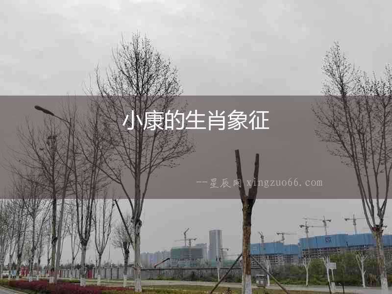 小康的生肖象征