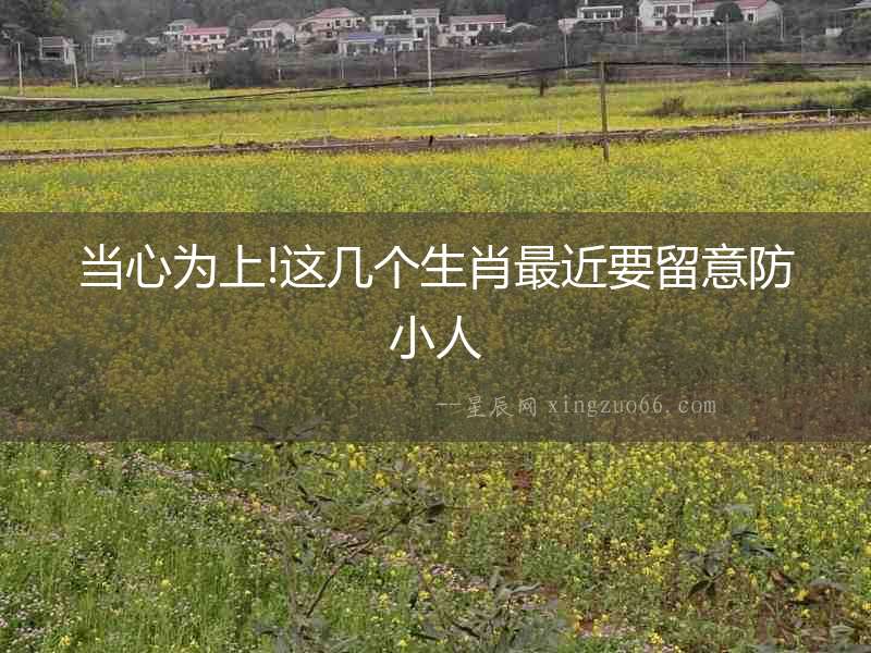 當心為上!這幾個生肖最近要留意防小人