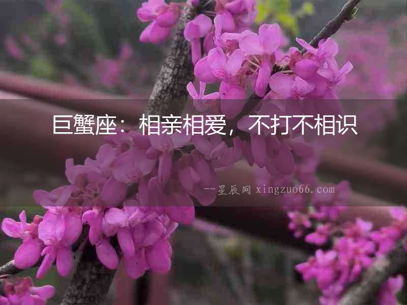 巨蟹座：相親相愛，不打不相識