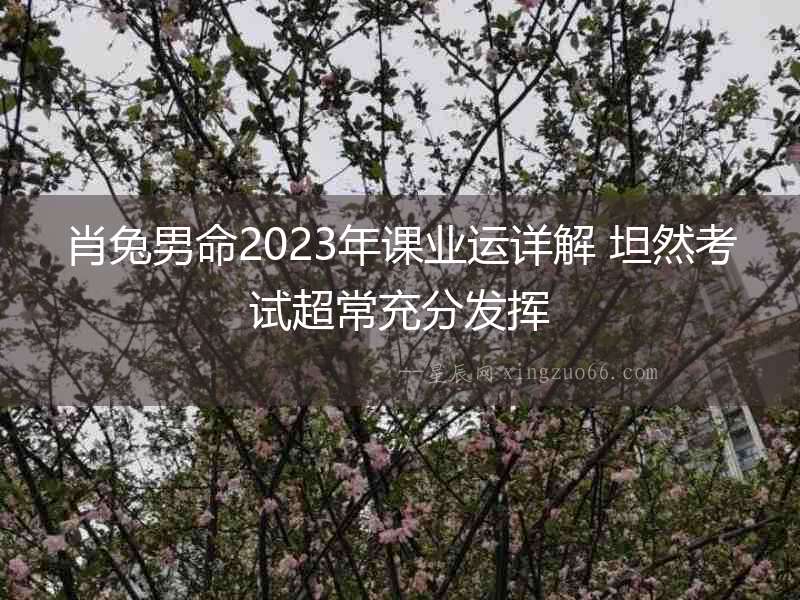 肖兔男命2023年課業(yè)運詳解 坦然考試超常充分發(fā)揮