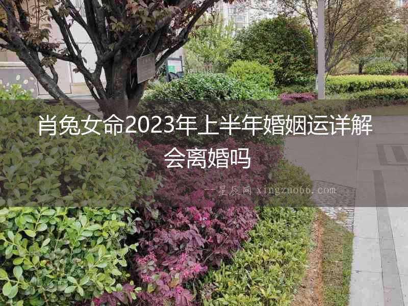 肖兔女命2023年上半年婚姻運(yùn)詳解 會(huì)離婚嗎