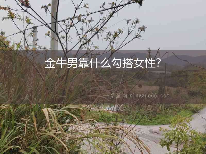 金牛男靠什么勾搭女性？