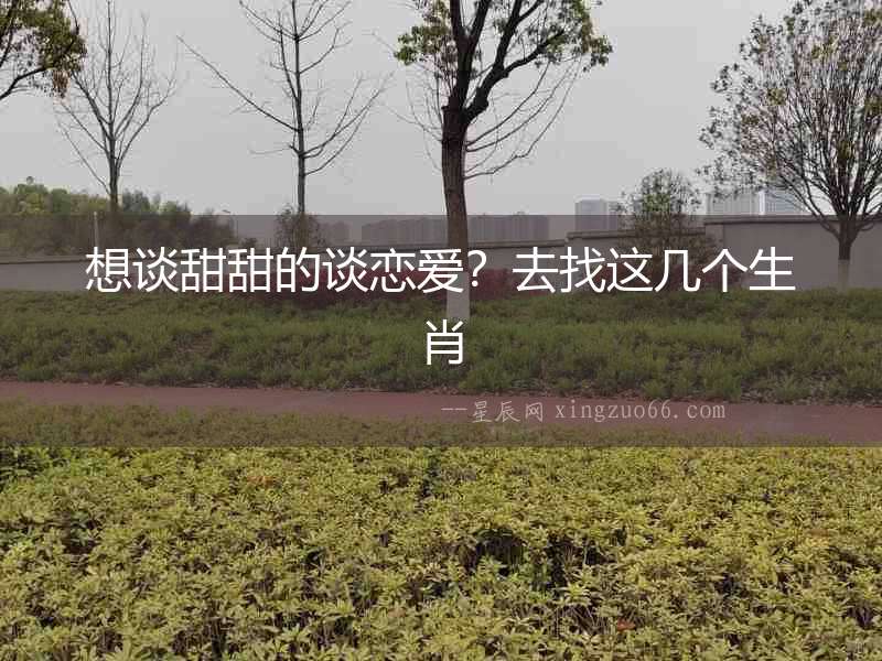 想談甜甜的談戀愛？去找這幾個生肖