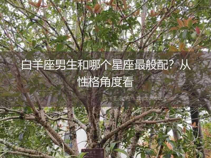 白羊座男生和哪個星座最般配？從性格角度看