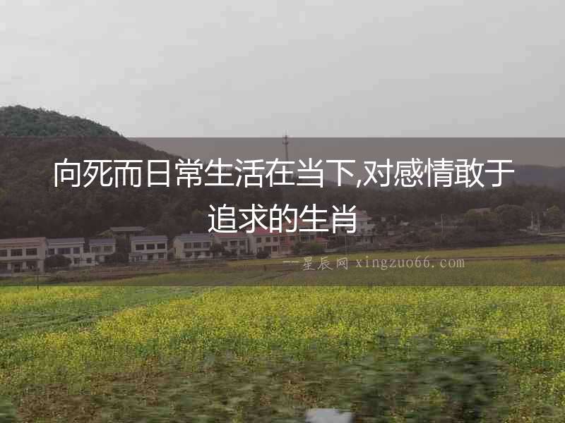 向死而日常生活在當下,對感情敢于追求的生肖