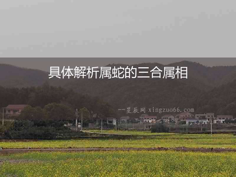 具體解析屬蛇的三合屬相