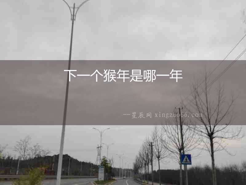 下一個(gè)猴年是哪一年