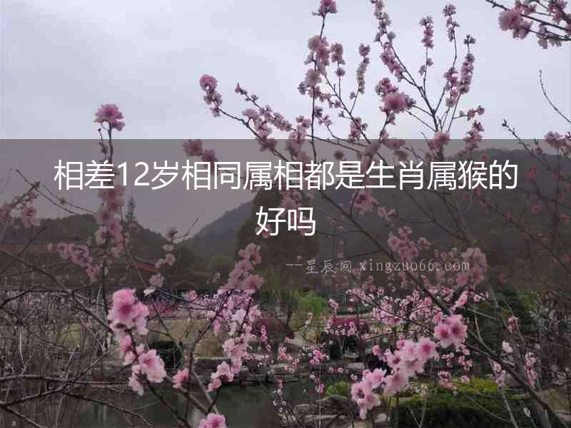 相差12歲相同屬相都是生肖屬猴的好嗎