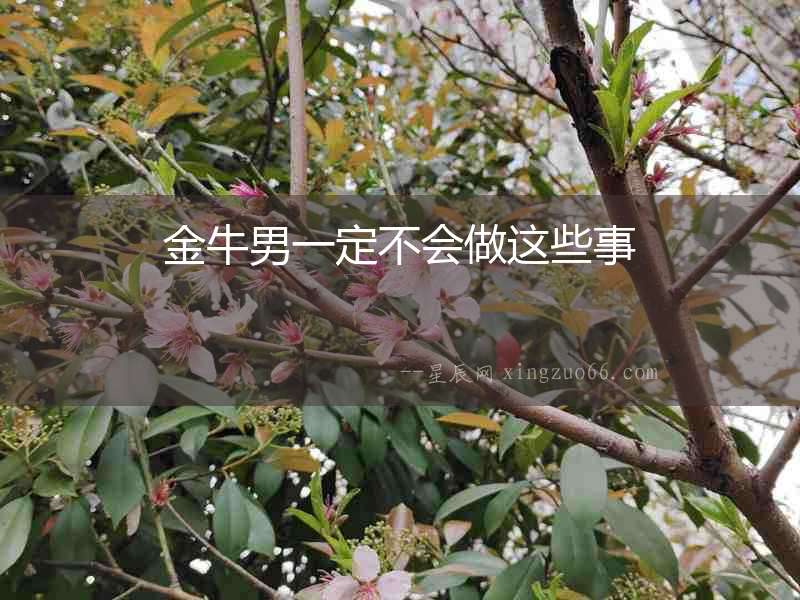 金牛男一定不會(huì)做這些事